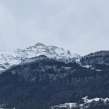 Mountain 4u