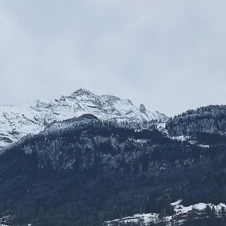 Mountain 4u Апартаменты Мейринген
